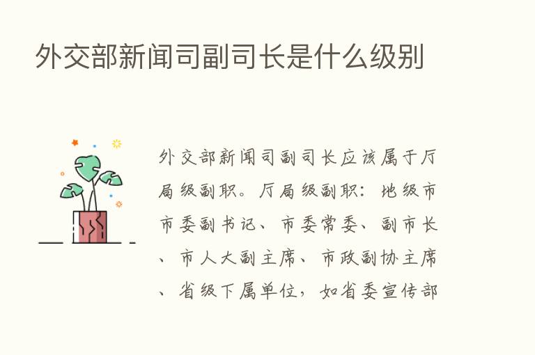 外交部新闻司副司长是什么级别