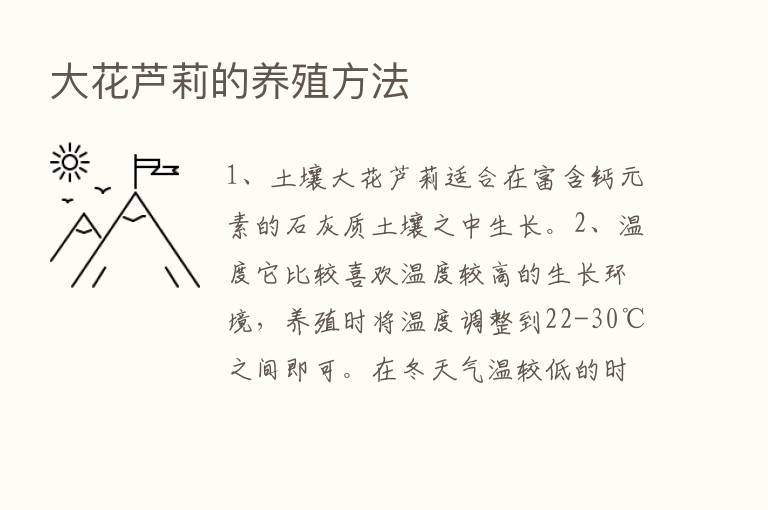 大花芦莉的养殖方法