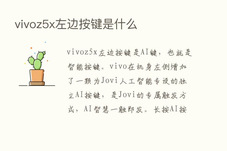 vivoz5x左边按键是什么