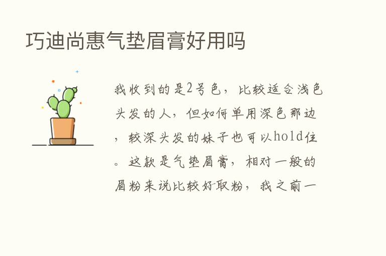 巧迪尚惠气垫眉膏好用吗