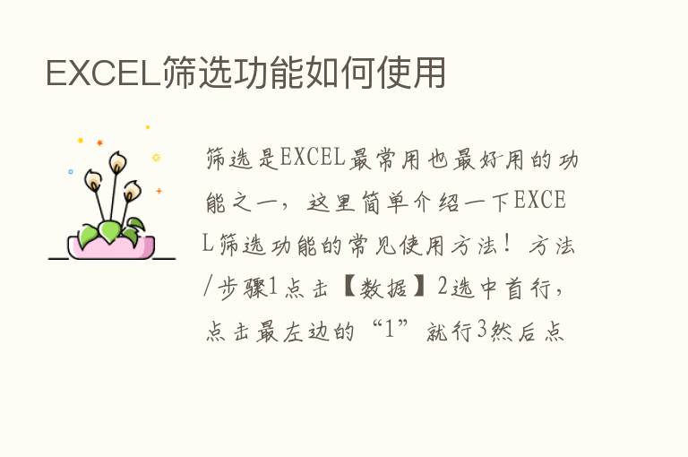 EXCEL筛选功能如何使用