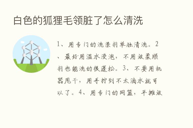 白色的狐狸毛领脏了怎么清洗