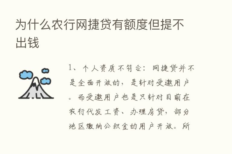 为什么农行网捷贷有额度但提不出前