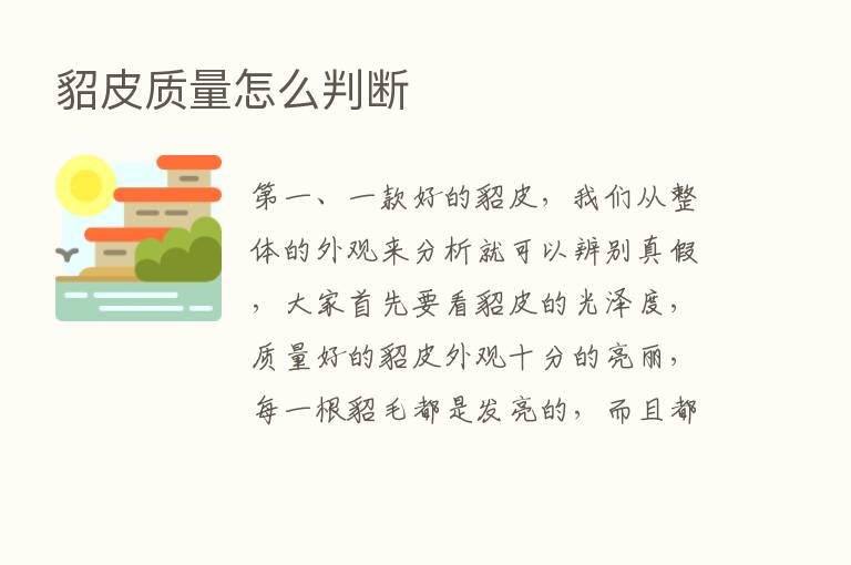 貂皮质量怎么判断