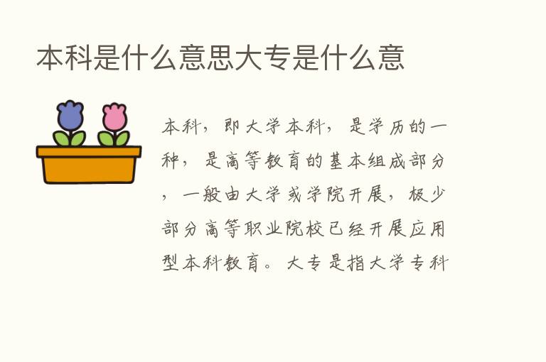 本科是什么意思大专是什么意