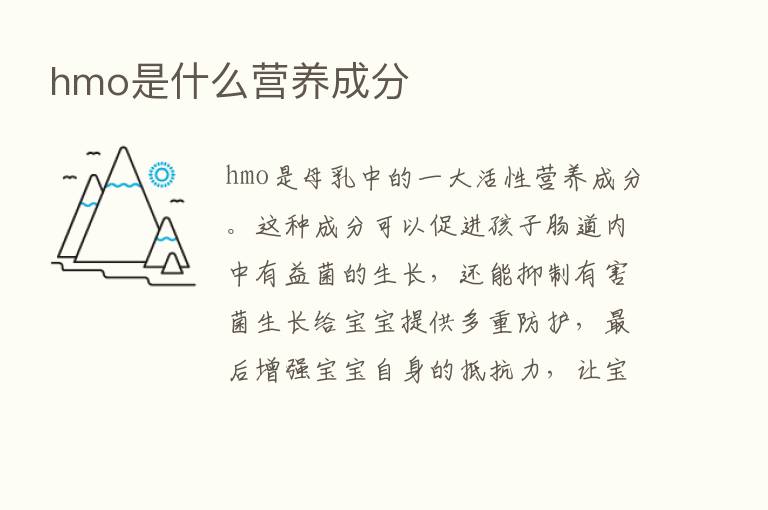 hmo是什么营养成分