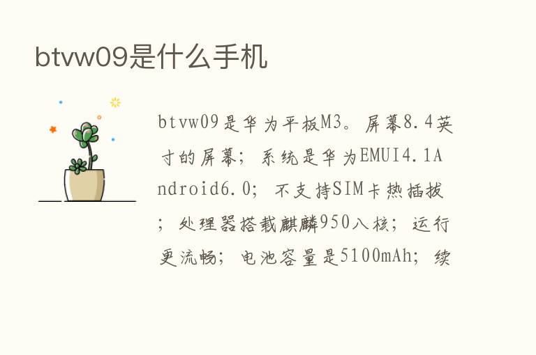 btvw09是什么手机