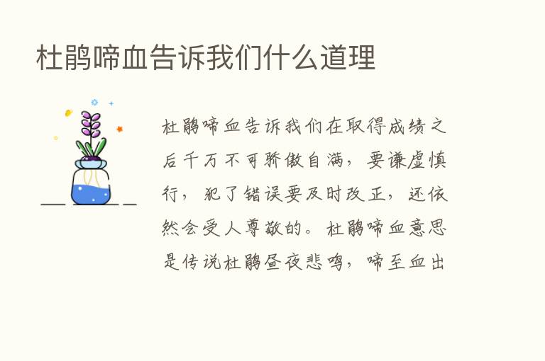 杜鹃啼血告诉我们什么道理