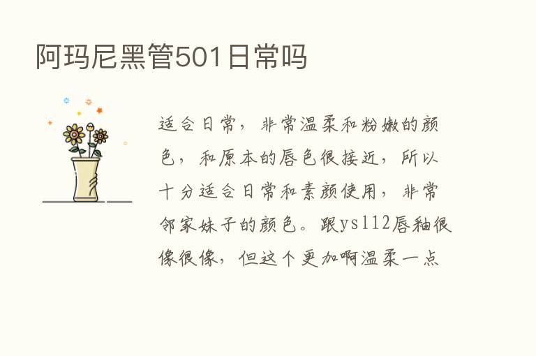 阿玛尼黑管501日常吗