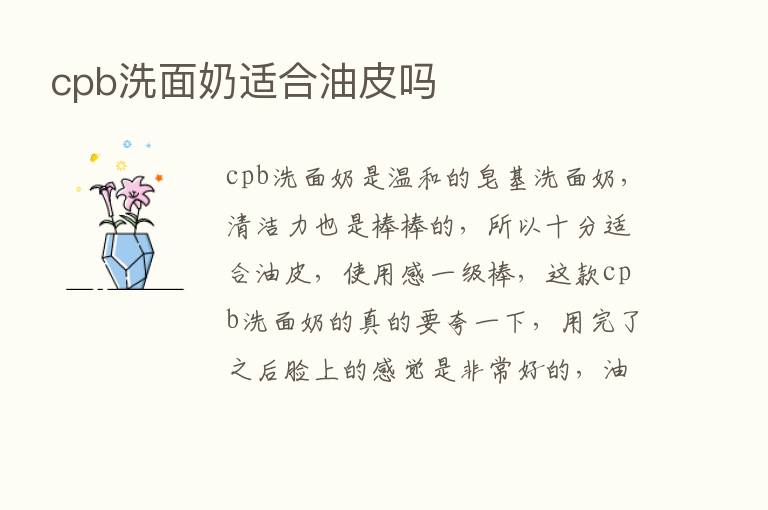 cpb洗面奶适合油皮吗