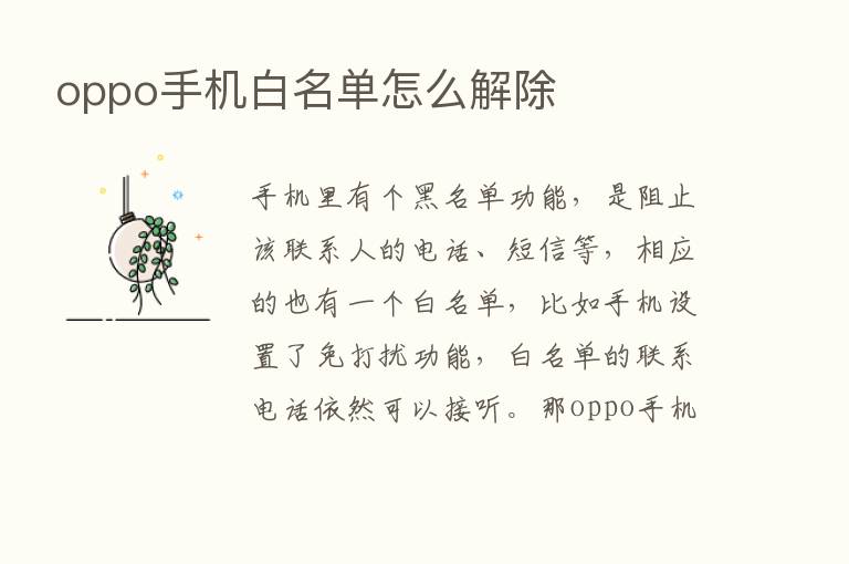 oppo手机白名单怎么解除