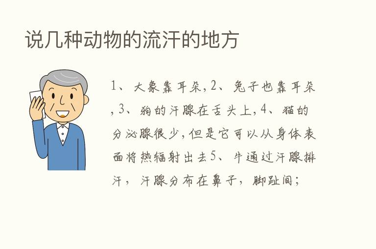 说几种动物的流汗的地方