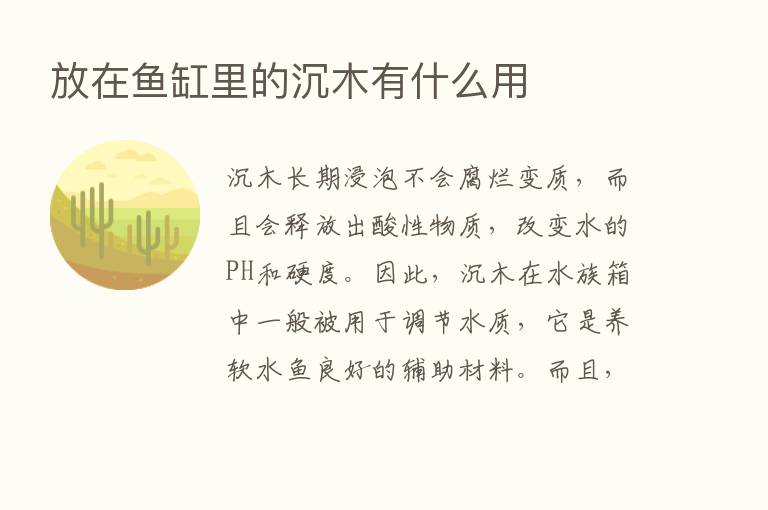 放在鱼缸里的沉木有什么用