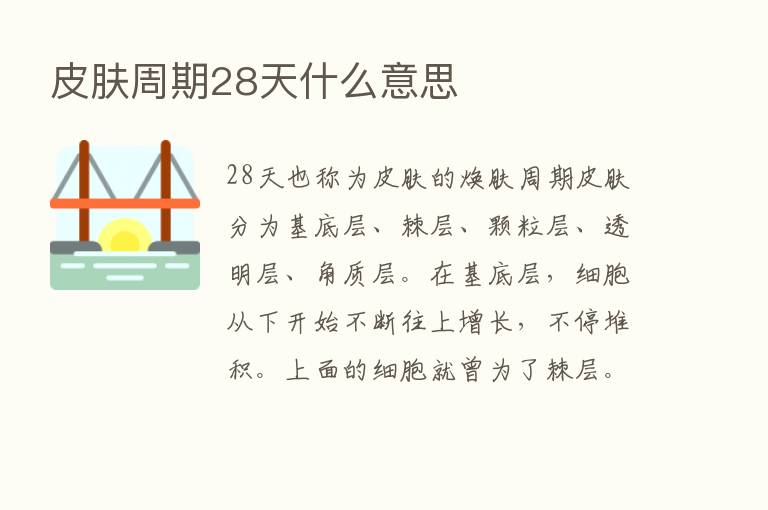 皮肤周期28天什么意思