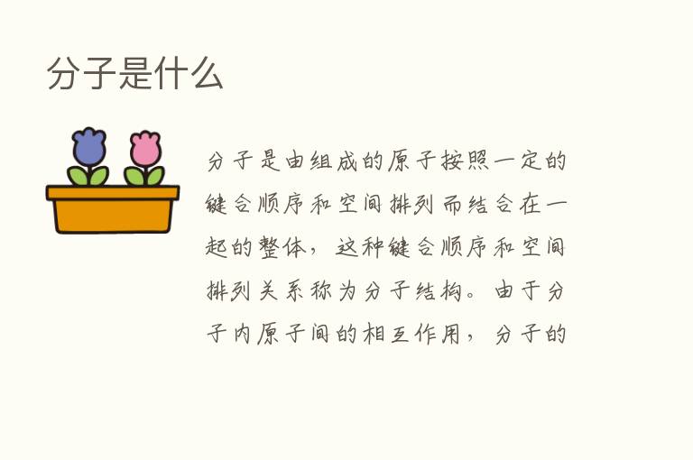 分子是什么