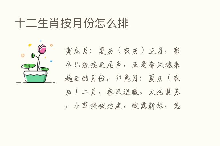 十二生肖按月份怎么排