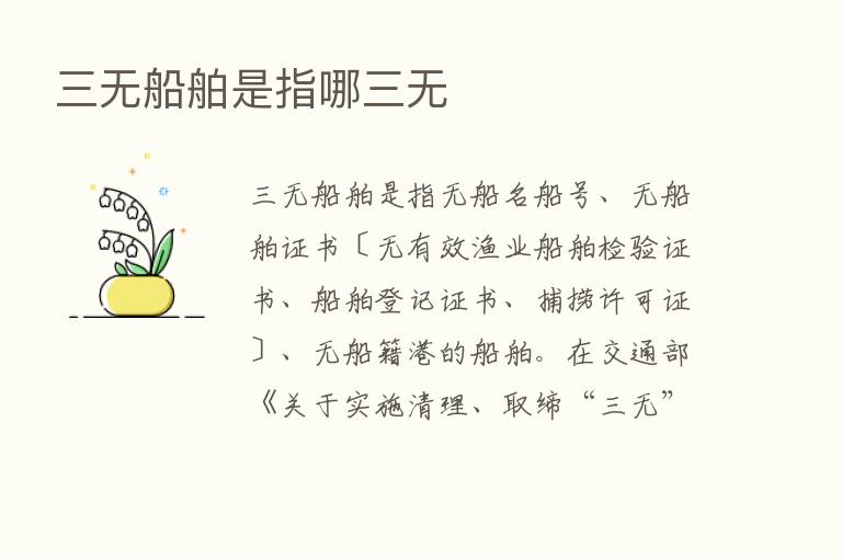 三无船舶是指哪三无