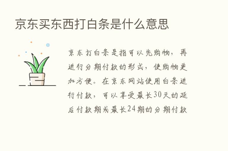 京东买东西打白条是什么意思