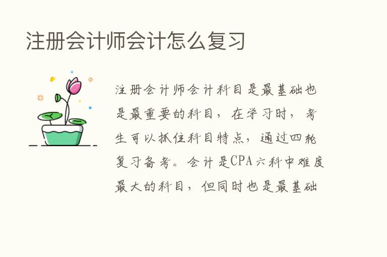 注册会计师会计怎么复习