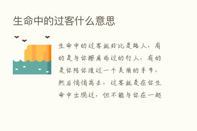 生命中的过客什么意思