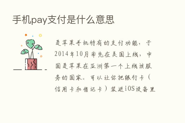 手机pay支付是什么意思