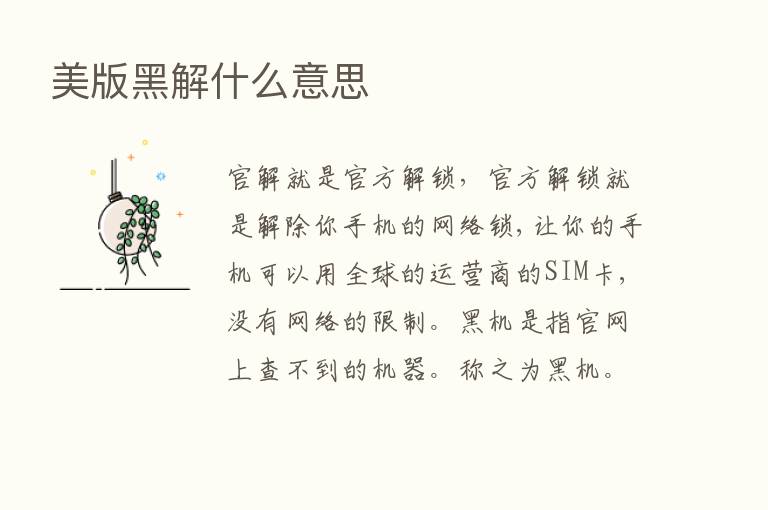 美版黑解什么意思