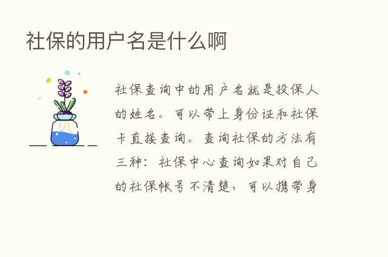 社保的用户名是什么啊