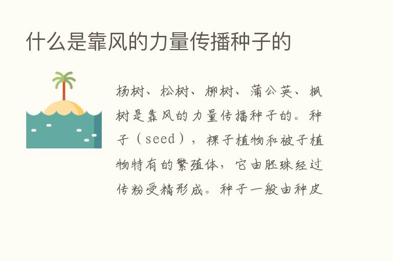 什么是靠风的力量传播种子的