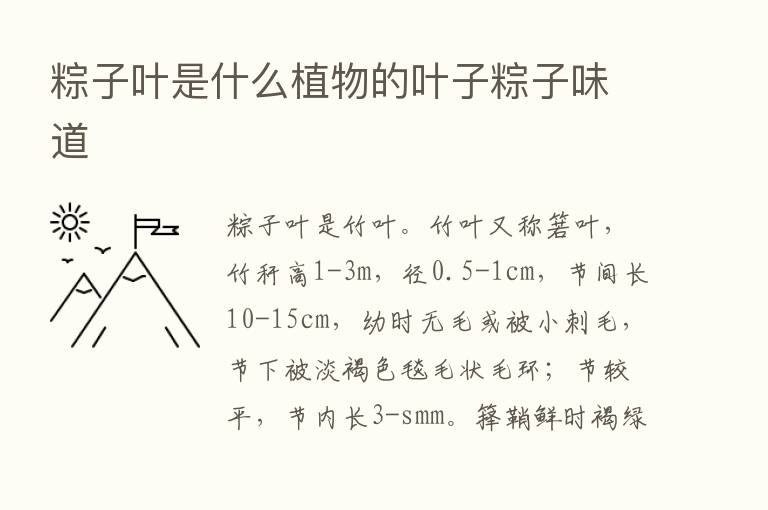 粽子叶是什么植物的叶子粽子味道