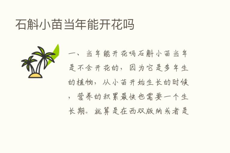 石斛小苗当年能开花吗