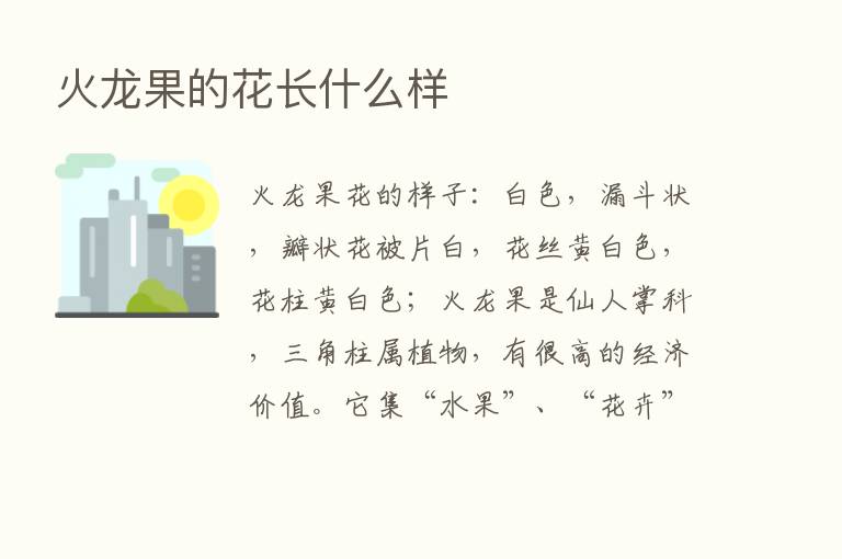 火龙果的花长什么样