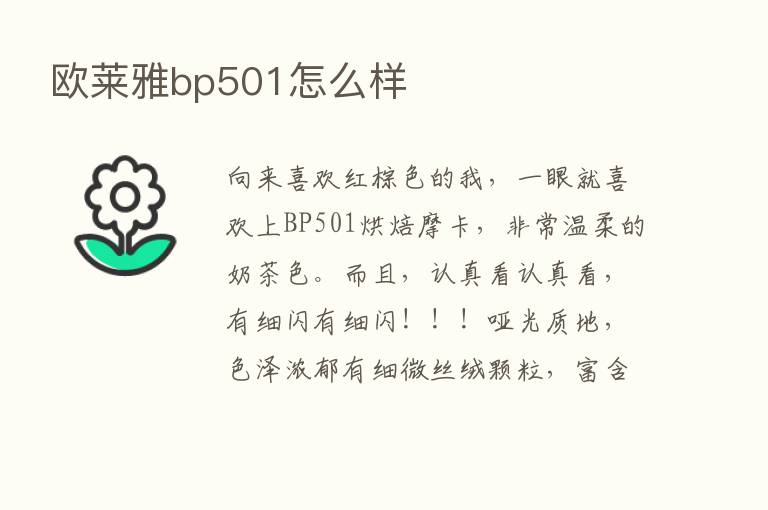 欧莱雅bp501怎么样