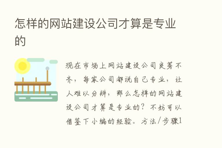 怎样的网站建设公司才算是专业的