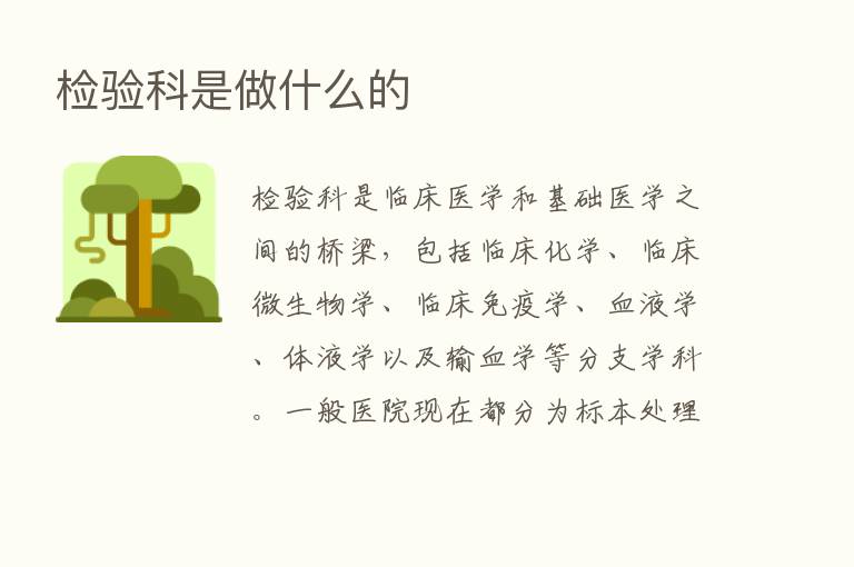 检验科是做什么的