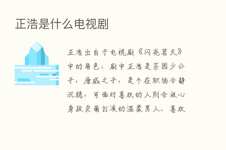 正浩是什么电视剧