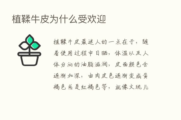 植鞣牛皮为什么受欢迎