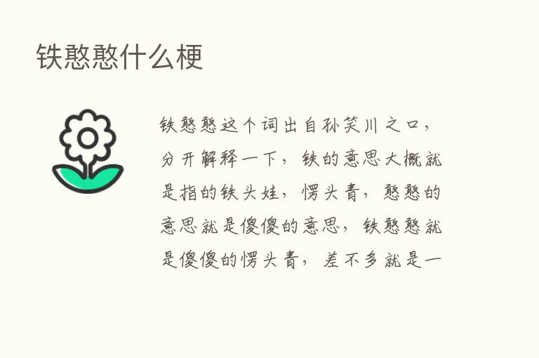 铁憨憨什么梗