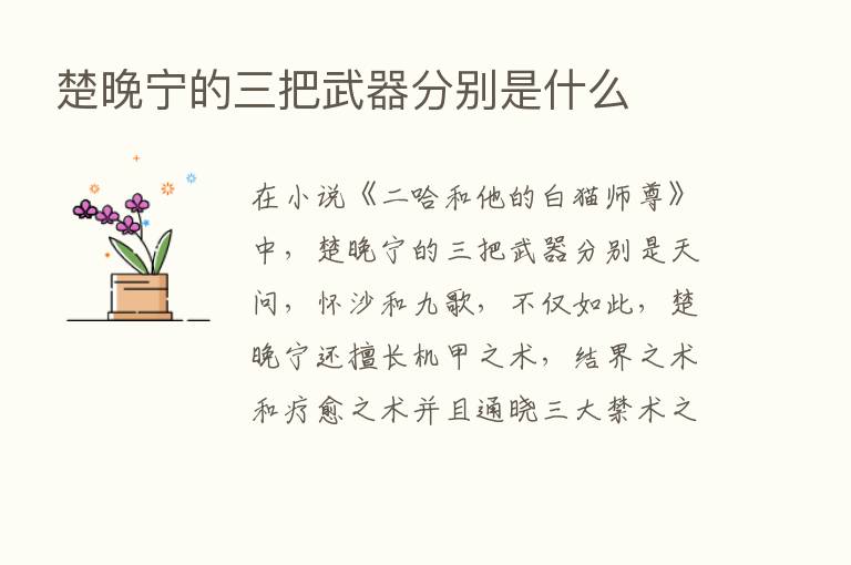 楚晚宁的三把武器分别是什么