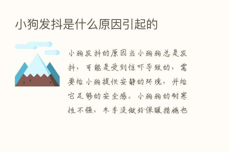 小狗发抖是什么原因引起的