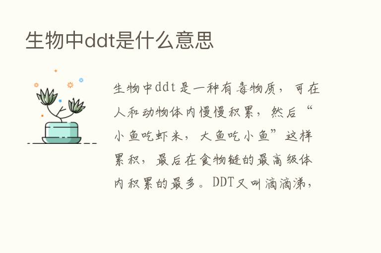 生物中ddt是什么意思