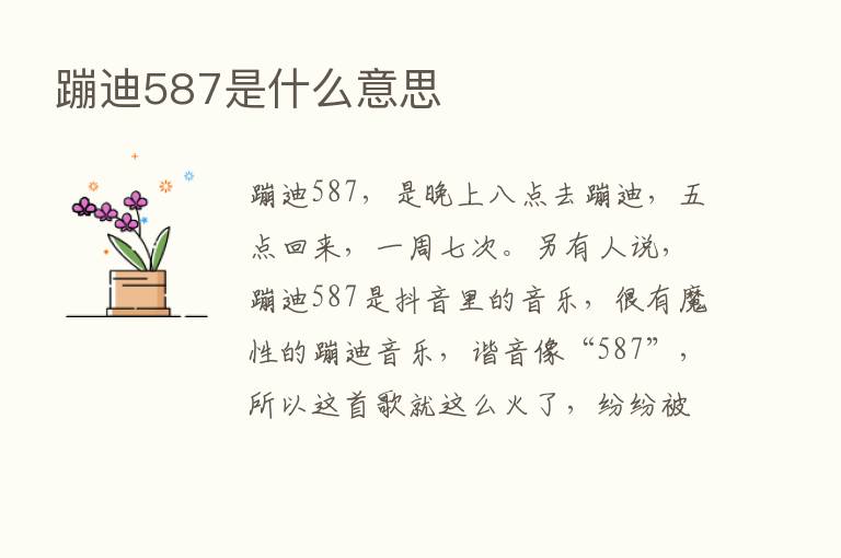 蹦迪587是什么意思