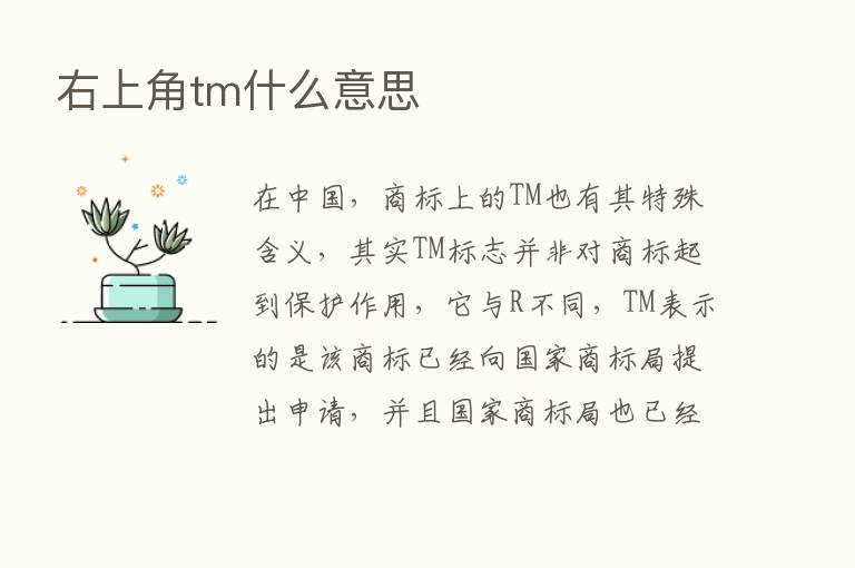 右上角tm什么意思