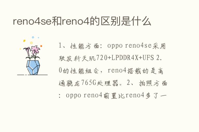 reno4se和reno4的区别是什么