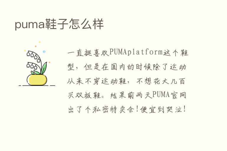 puma鞋子怎么样