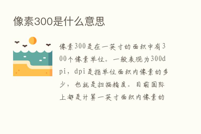 像素300是什么意思