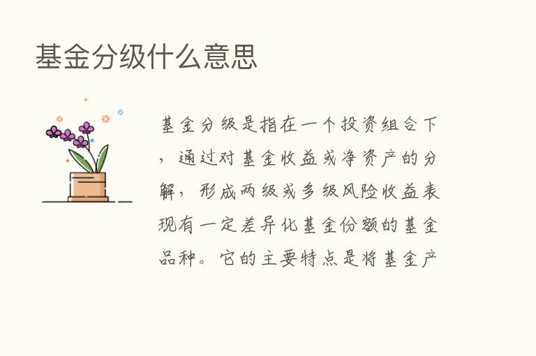 基金分级什么意思