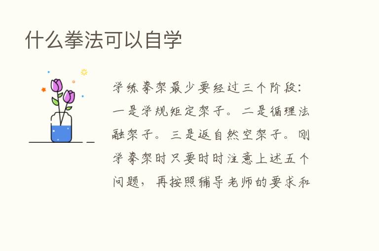 什么拳法可以自学