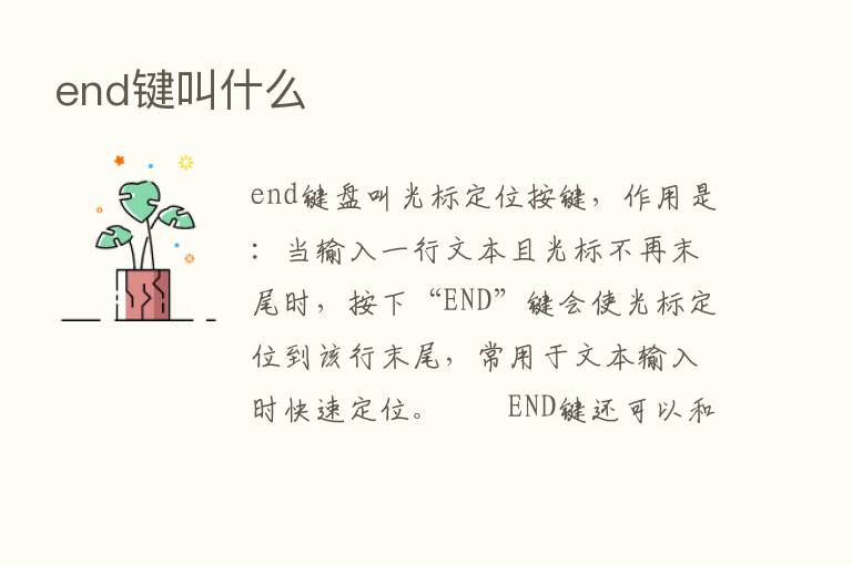 end键叫什么