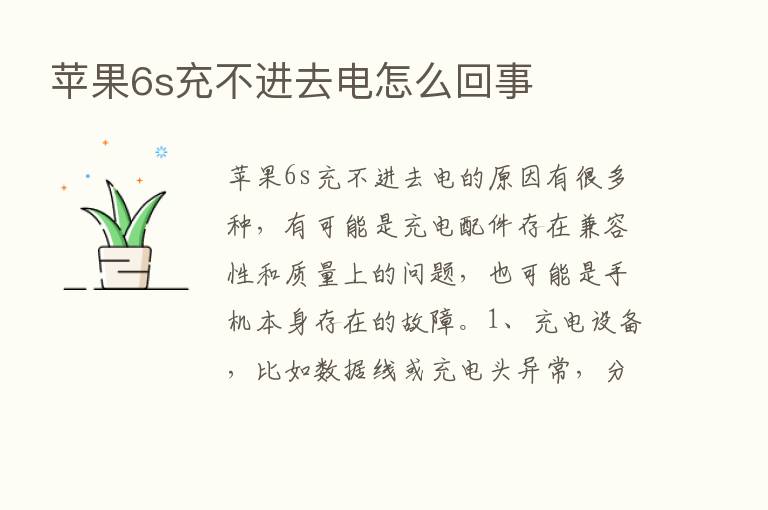 苹果6s充不进去电怎么回事