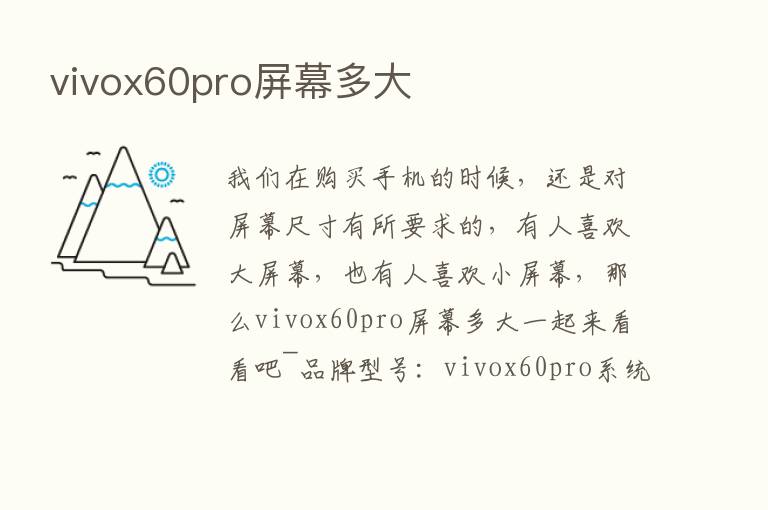 vivox60pro屏幕多大